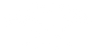 ScooterX Pro Stunt Scooters